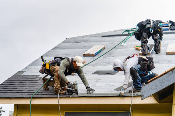 Professional Roofing technician working in New Pine Creek, OR